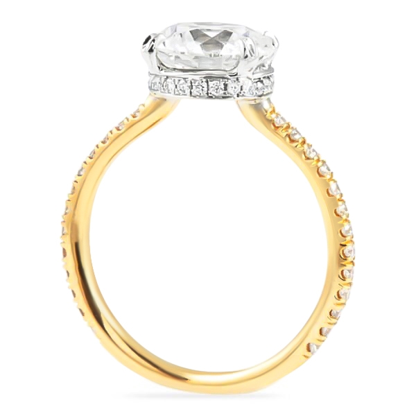 1.70ct Round Diamond Two-Tone Invisible Gallery™ Engagement Ring angle